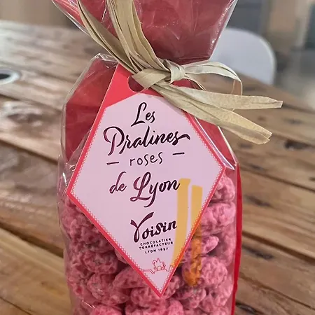 Lägenhet La Parenthese Doree A Saint Bel *